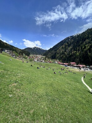 Außenbereich