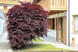 Detall de l'exterior