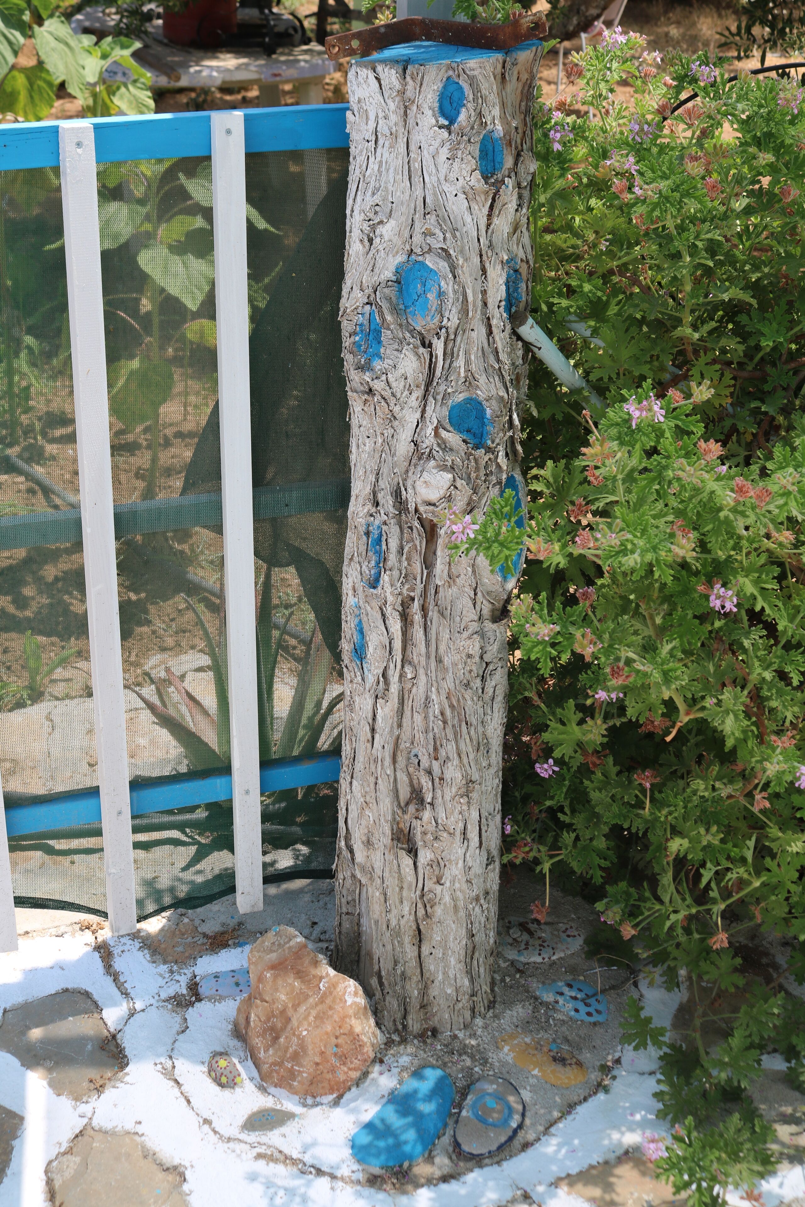 A tree trunk with blue paint, surrounded by rocks and plants.