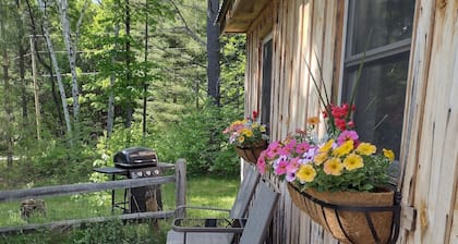 Sun drenched cozy cottage on budding 17 acre homestead