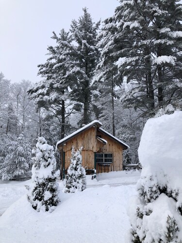 Sun drenched cozy cottage on budding 17 acre homestead