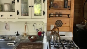 A kitchen with white cabinets, a stove, and a sink. There are plants on the wall and a bottle of olive oil on a shelf.