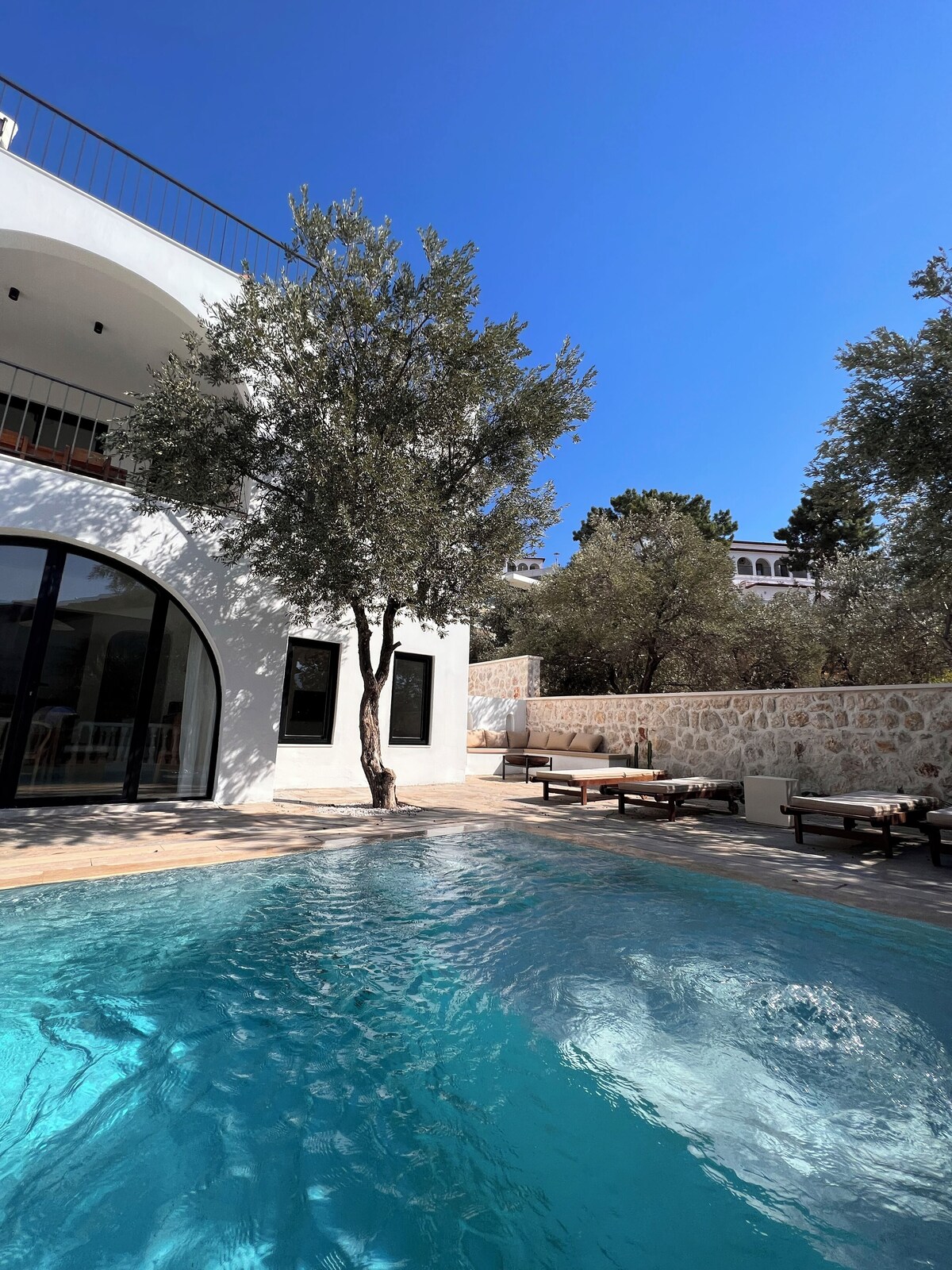 Imagen de perfil del propietario o de la propietaria