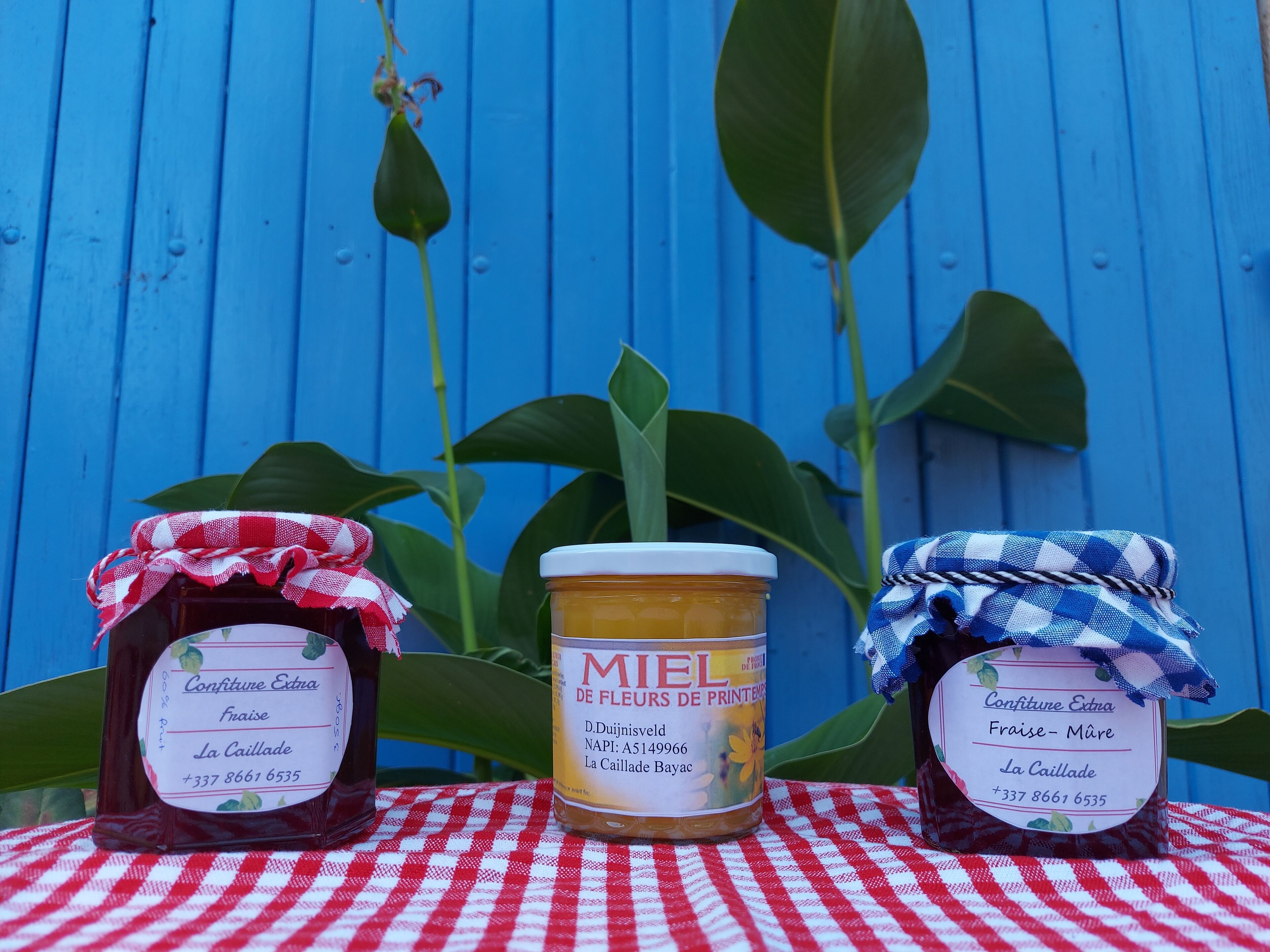 Trois pots de miel sont posés sur une nappe à carreaux rouges et blancs, le tout sur un fond en bois bleu.
