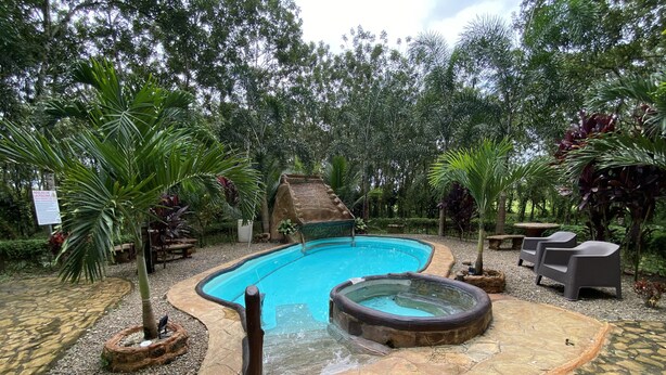 Ein Pool mit Whirlpool, umgeben von Steinplatten und tropischer Bepflanzung.