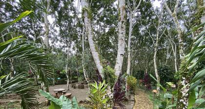 Eco Hotel Pata Palo