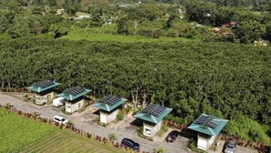 Ländliche Gegend mit mehreren kleinen Gebäuden mit begrünten Dächern, umgeben von üppiger Vegetation und Feldern.