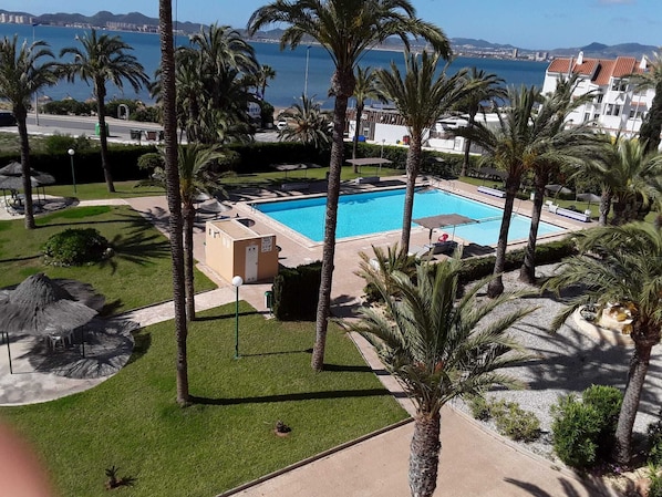 Piscina rodeada de palmeras y vista al mar.