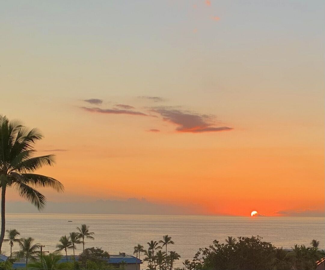 Beautifully Remodeled 1-Bedroom in Downtown Kona