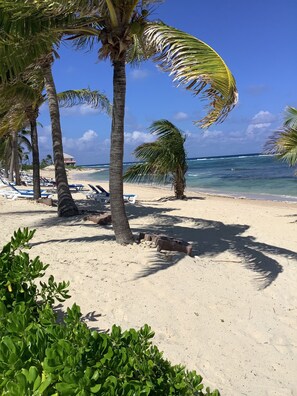On the beach, sun loungers, beach towels