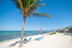 Ein Strand mit einer Palme, blauem Himmel und einem Steg mit Sonnenschirmen.