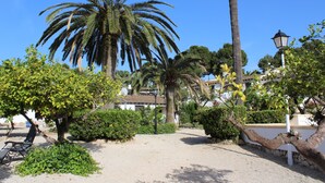 Un patio con palmeras, un farol y una silla.