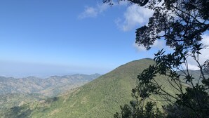 A mountainous landscape with dense vegetation and a clear sky. - The Cottage (Kingston)