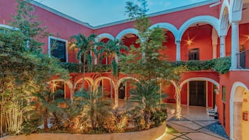 Vista al jardín