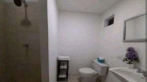 Un bagno piccolo e funzionale con doccia, toilette e lavandino.