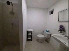 Un baño pequeño y funcional con ducha, inodoro y lavamanos.