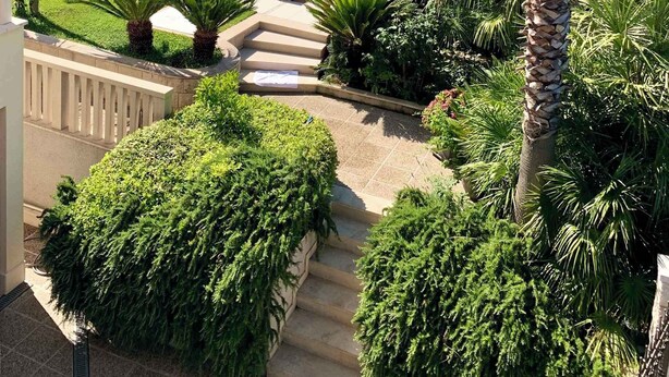 Une piscine entourée d’une végétation luxuriante et de palmiers, avec des chaises longues et des parasols à proximité.
