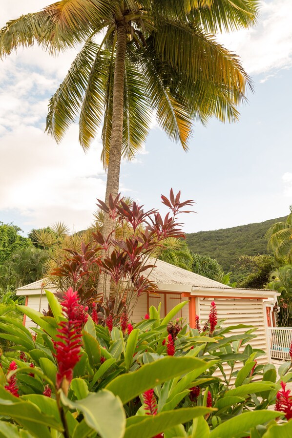Property grounds - Gîte for 4 people in the residence Les Jardins de Pointe Noire (pointe noire)