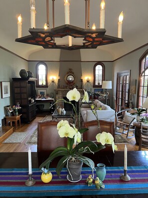 Smart TV, caminetto, videogiochi, lettore DVD