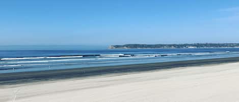 Plage à proximité, chaises longues, serviettes de plage