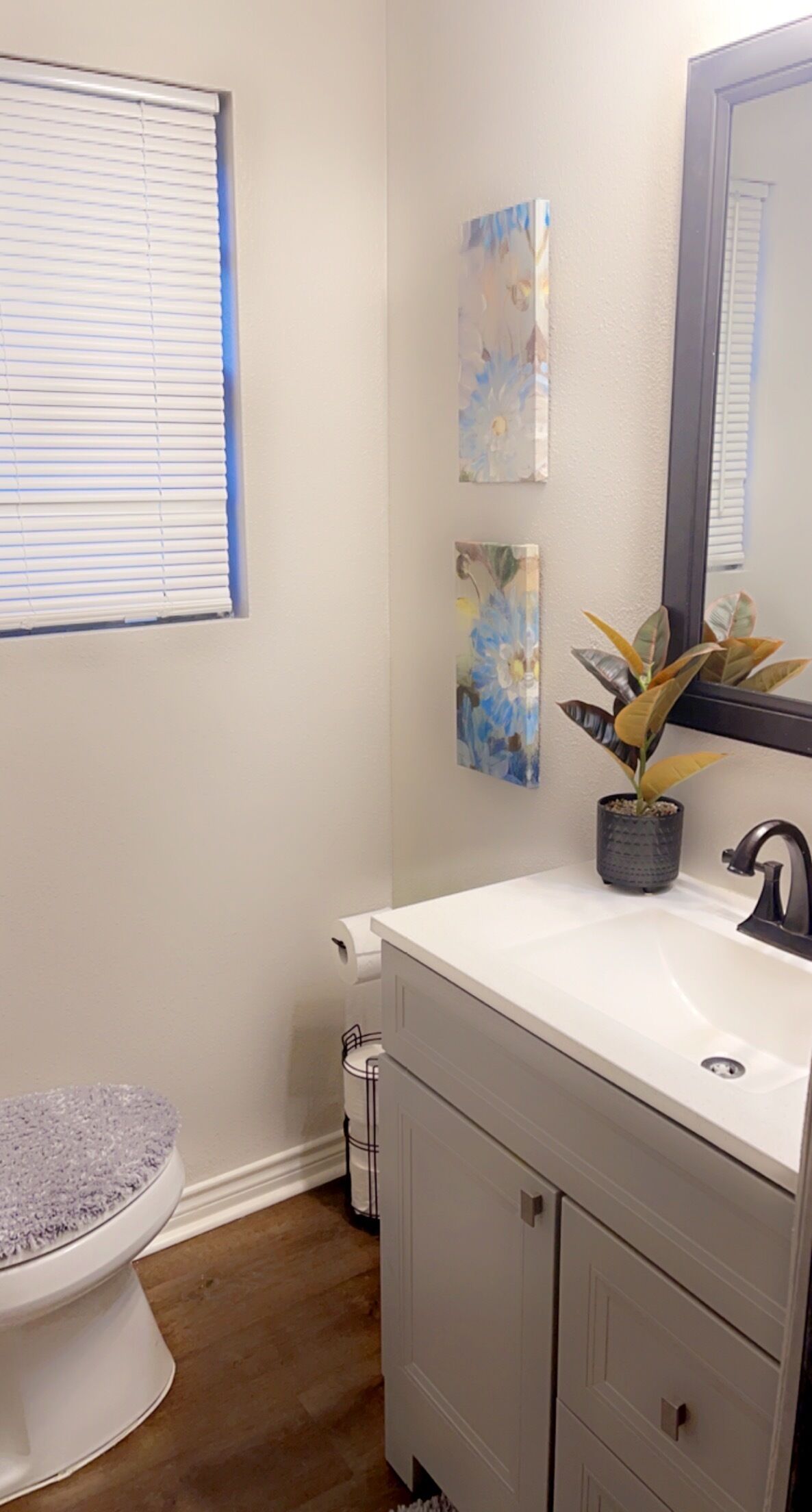 A bathroom with a white toilet, a white sink with a black faucet, and a mirror above the sink. There are two wall-mounted paintings and a potted plant on the sink.