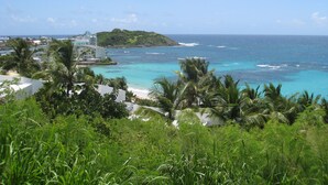 Une vue sur la côte, avec un ciel dégagé, une petite île et une plage bordée de palmiers.