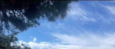 In Strandnähe, Liegestühle