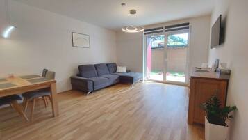 Fernseher, Stereoanlage