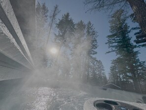 A steam room with a view of tall trees and a clear sky.