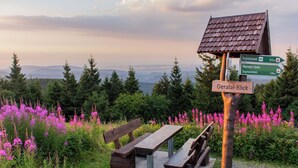 Eine hölzerne Bank und ein Picknicktisch in einer natürlichen Umgebung, mit einem Wegweiser, der auf nahegelegene Orte hinweist.