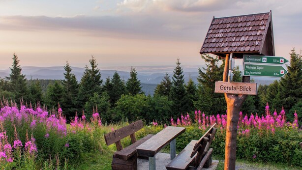 Un banc en bois et une table de pique-nique se trouvent dans un cadre naturel, et un panneau indique les directions vers les lieux d’intérêt à proximité.