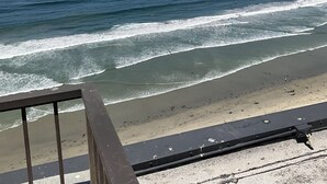 A beach view with waves, a clear sky, and a metal railing in the foreground. - floor to ceiling windows,180 degree view of ocean, 11th floor (San Diego)