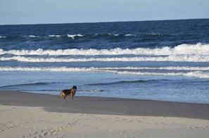 In Strandnähe, Strandtücher