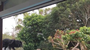 施設の敷地