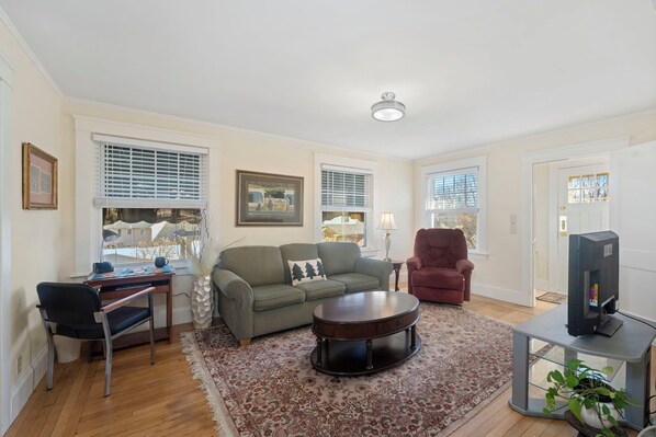 TV, DVD player, books, video library