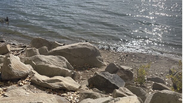 A rocky shoreline with a calm lake, surrounded by hills.