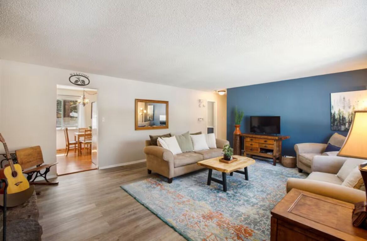 Smart TV, fireplace, books