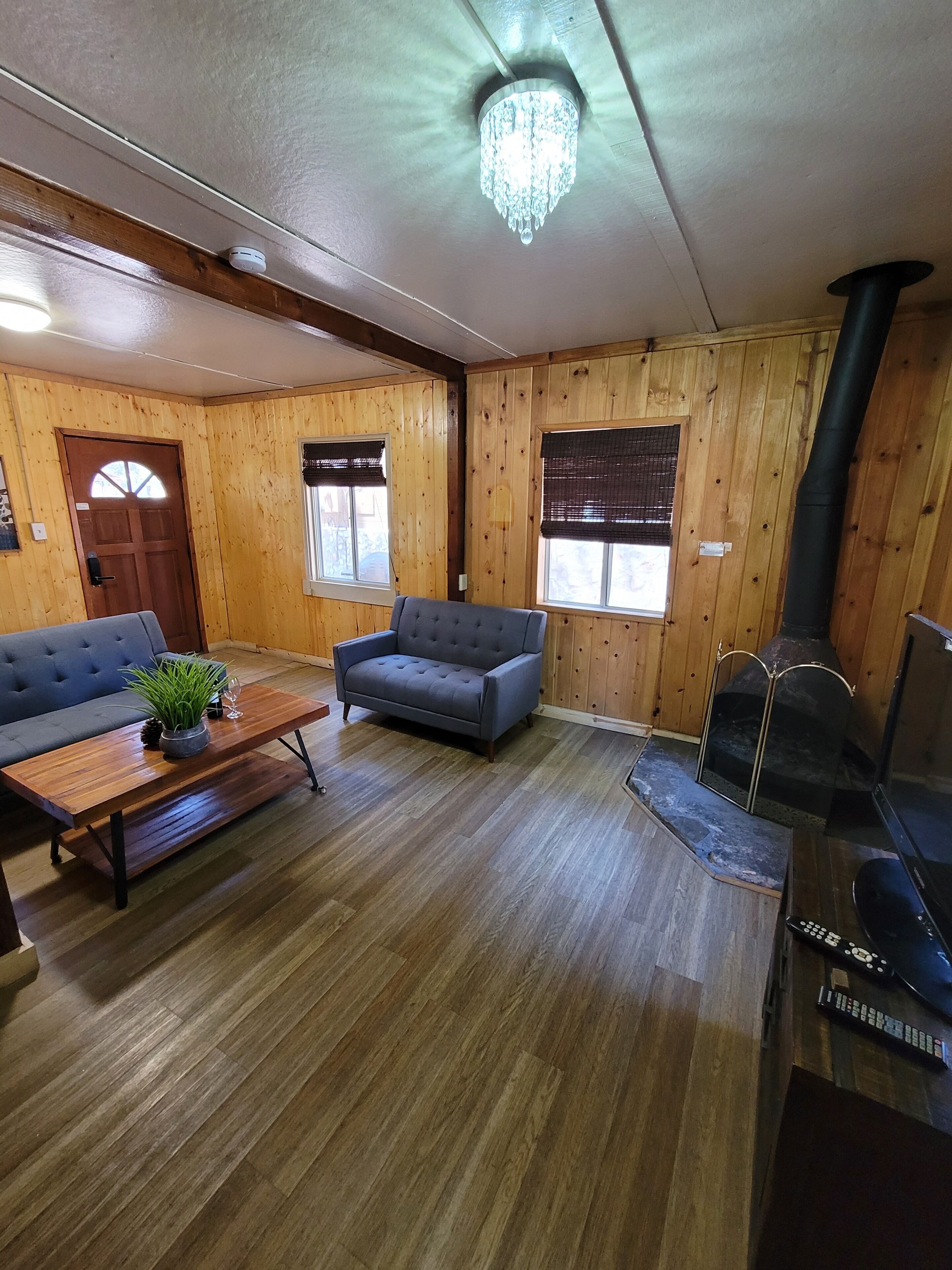 A wooden-paneled room with a sofa, a small table with a plant, a fireplace, and a ceiling light fixture.
