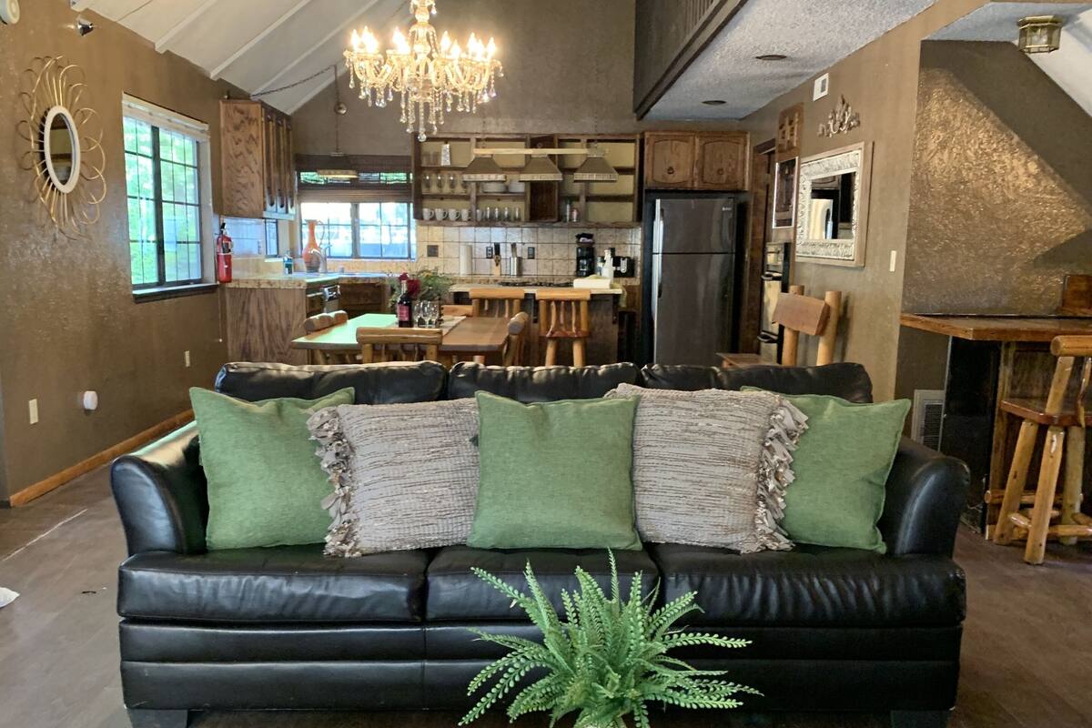 A spacious living room with a black leather sofa, a wooden coffee table, and a large plant.