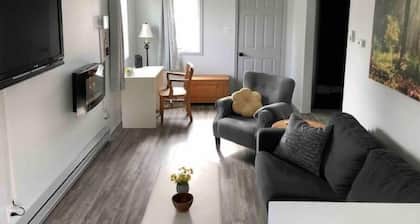 Cozy walk in ready tiny home in the heart of town, walking distance to hospital