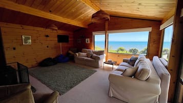 TV, fireplace, books
