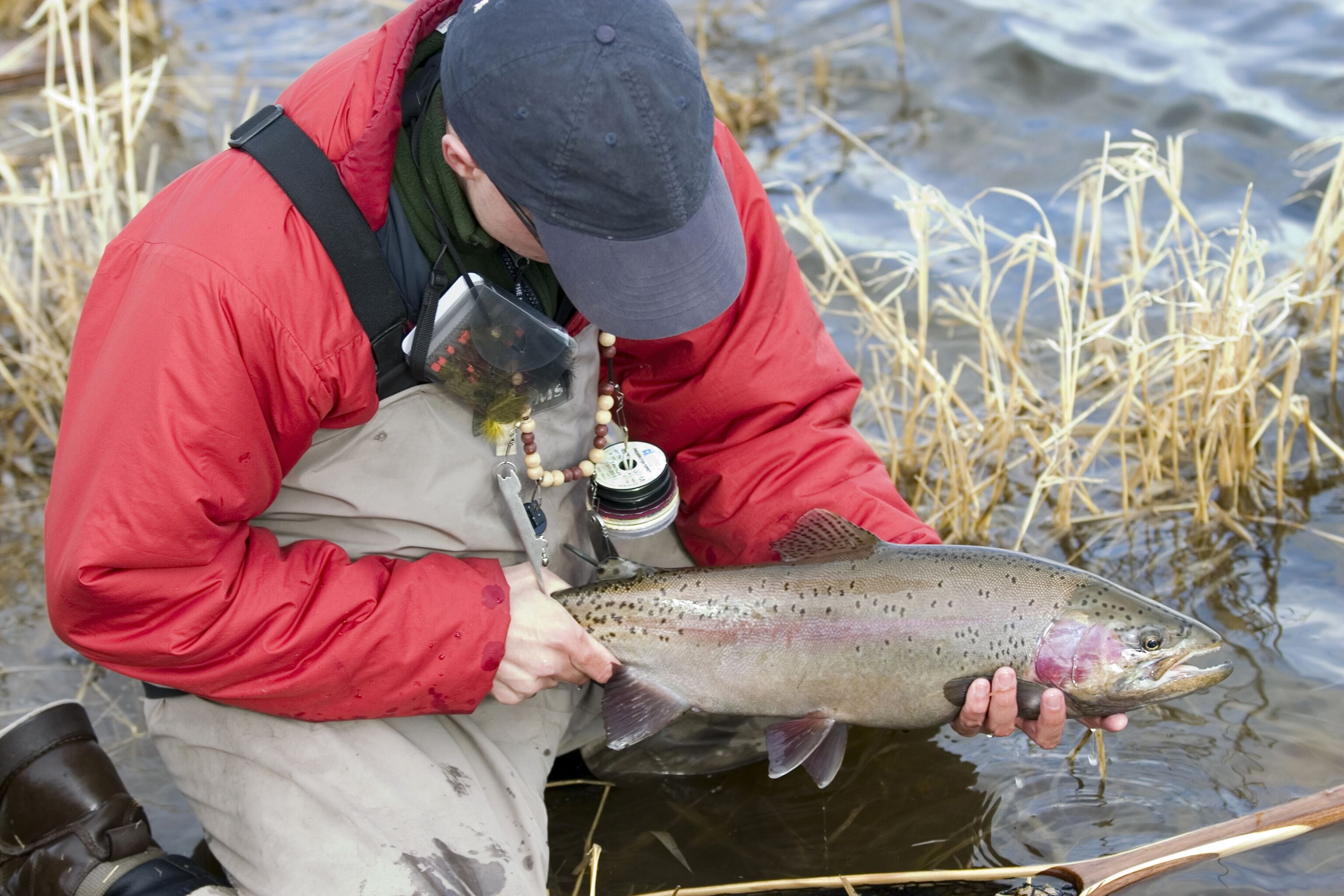 A person holding a fish in a body of water.