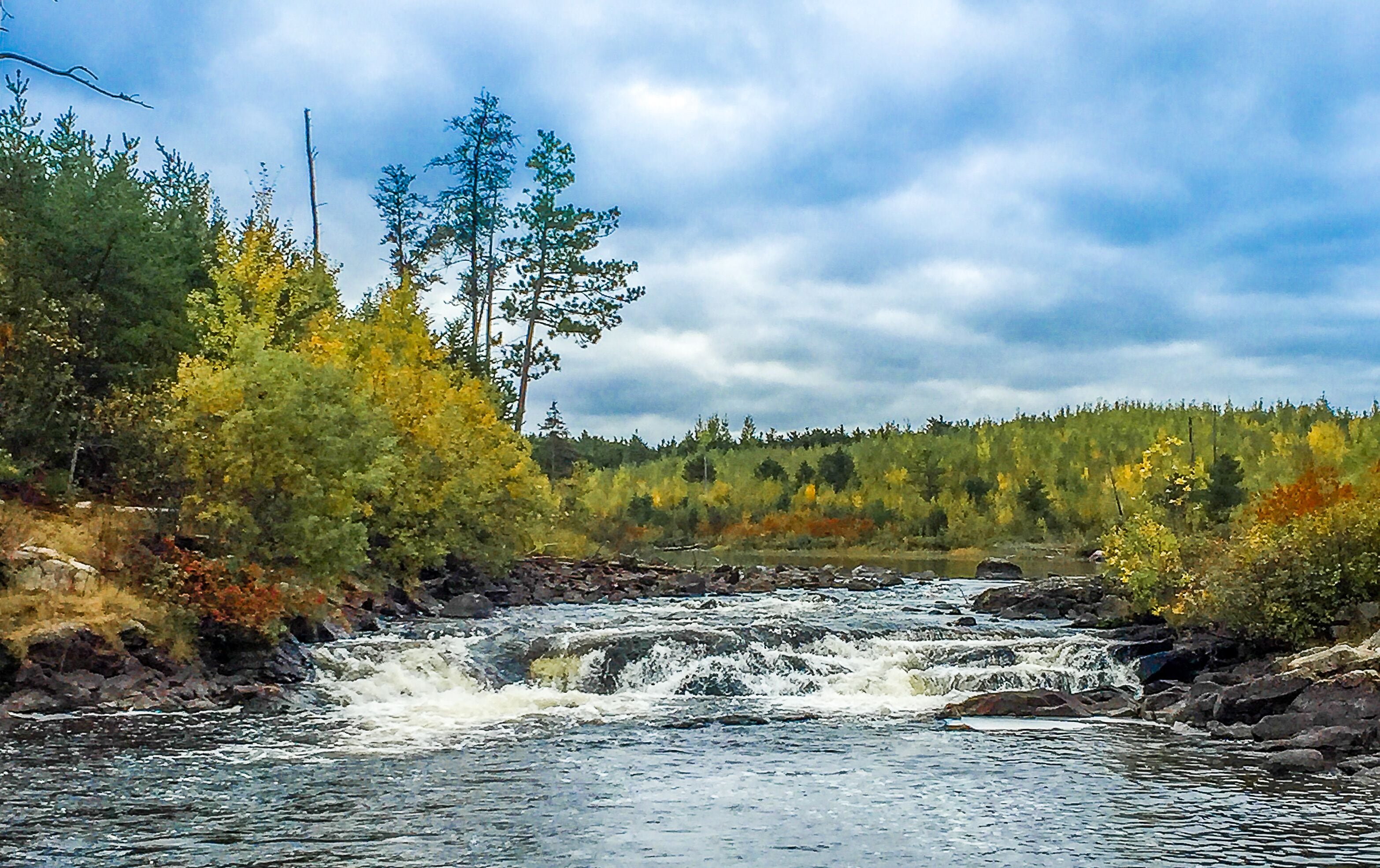 A river flowing through a forest with autumn foliage.
