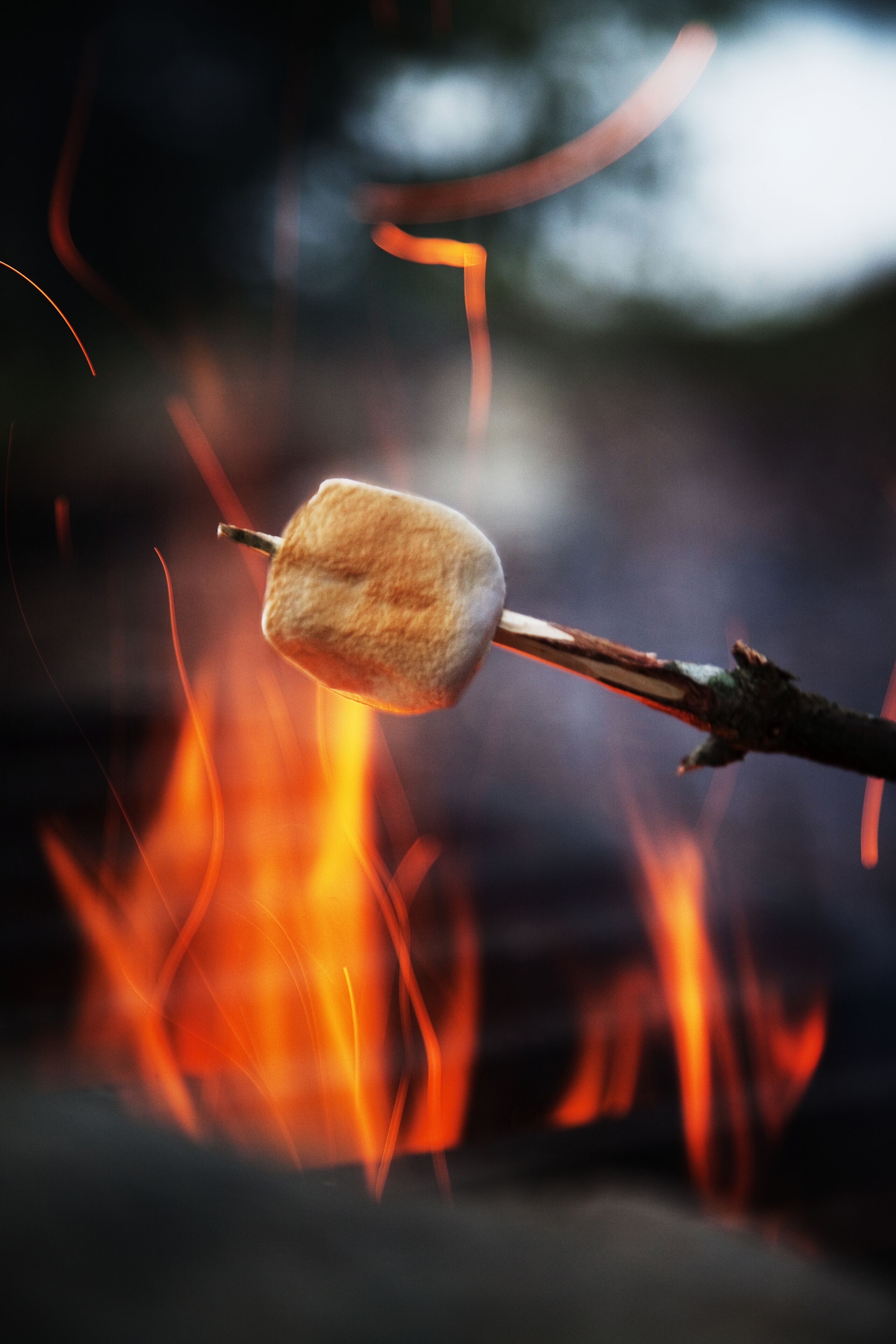 A marshmallow on a stick over a fire.
