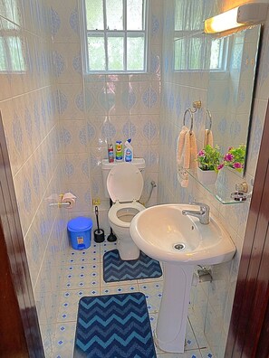 Ein Badezimmer mit gemusterten Fliesen, einer Toilette, einem Waschbecken, einem blauen Teppich und einem Fenster.