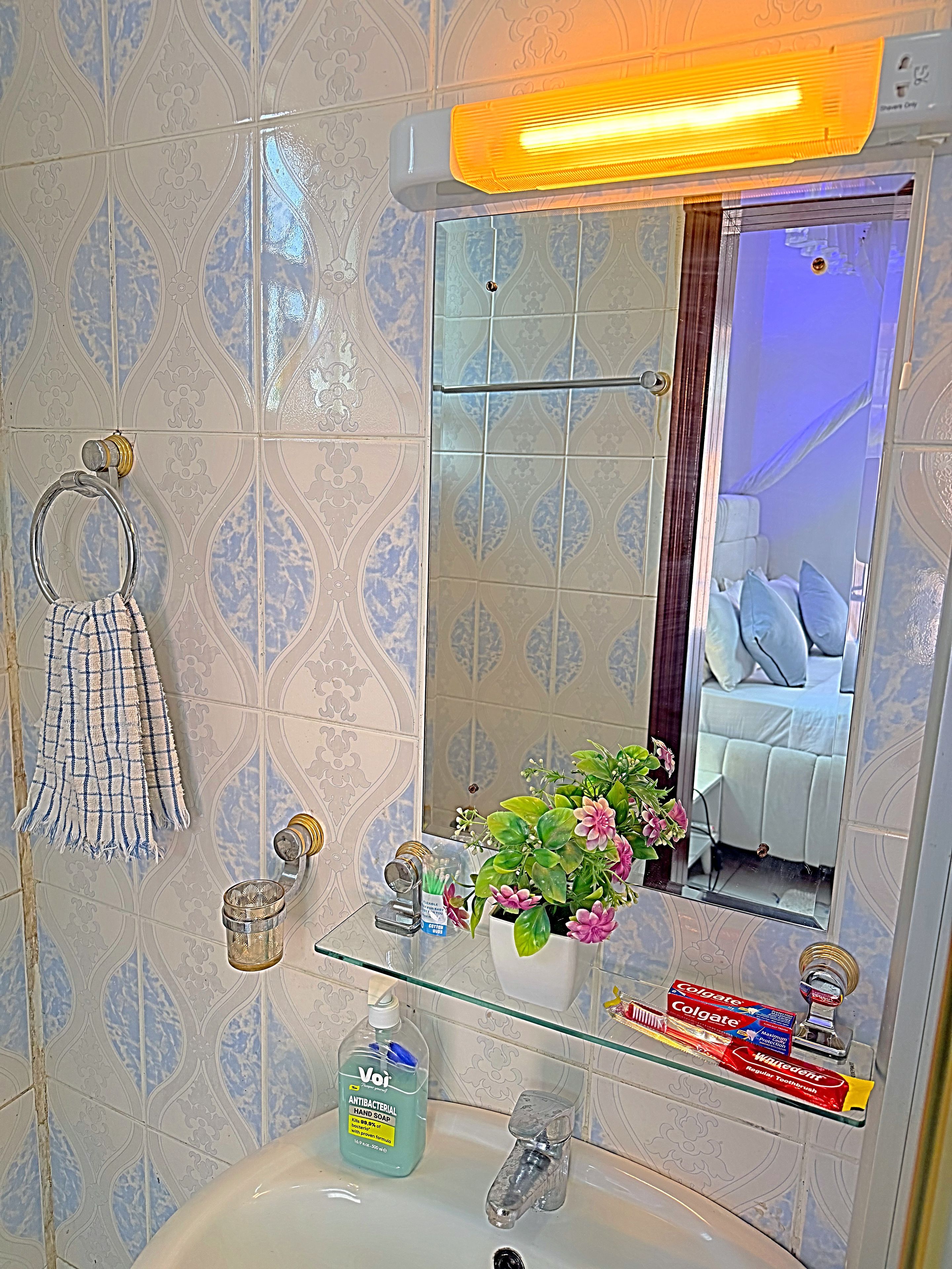 Ein Badezimmer mit Spiegel, Waschbecken, Handtuchhalter und einer Topfpflanze.