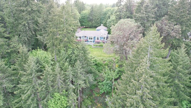 A large house surrounded by dense forest. - Water view high bank two bedroom private border Manchester State Park. (Port Orchard)