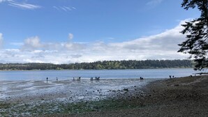 A beach with a rocky shoreline, calm water, and a forested background. - Water view high bank two bedroom private border Manchester State Park. (Port Orchard)