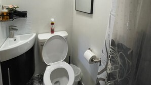 A compact bathroom with a toilet, sink, and a mirror. - Petite and Private Little Place (Lake Isabella)