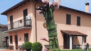 Un jardin de cactus avec une maison en arrière-plan.